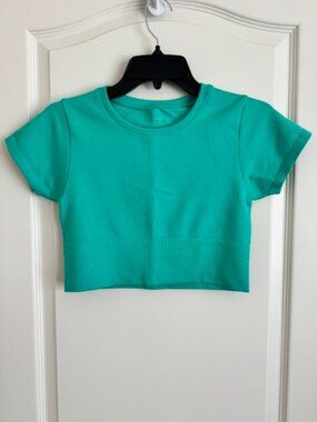 Offline by Aerie Seamless Cropped T-Shirt